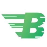 BCPAY FinTech (BCPAY) - logo