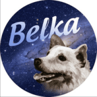 Belka (BLK) - logo