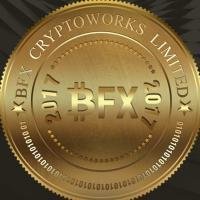 BFX COIN (BFX) - logo