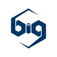 blockchain intelligence group - logo