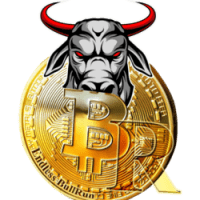 Bull Run Finance (BR) - logo