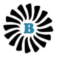Busy Protocol (BUSY) - logo