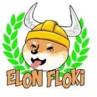 ElonFlokiInu (EFLOKI) - logo