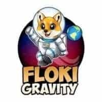 FlokiGravity (FLOKIG) - logo