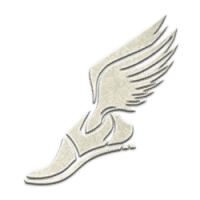 Hermes Shares (HSHARES) - logo