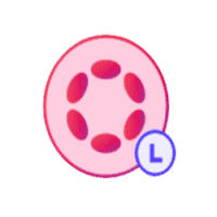 Liquid Staking Dot (LDOT) - logo