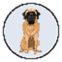 Mastiff Inu (MINU) - logo