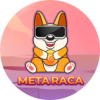 MetaRaca (METAR) - logo