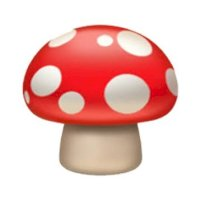 Mushrooms - logo