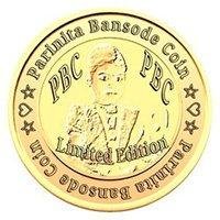 Parinita Bansode Coin (PBC)