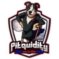 Pitquidity (PITQD) - logo