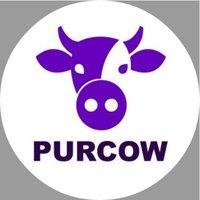 PurCow - logo