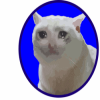 Sad Cat Token (SCAT) - logo