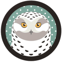 Snowy Owl (SNO)