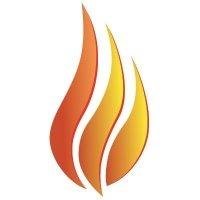 The Burn Token (BURN) - logo