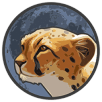 Token Cheetah (CHTT)