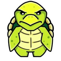 Turtle (TURTLE)