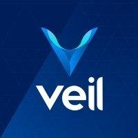 Veil (VEIL) - logo
